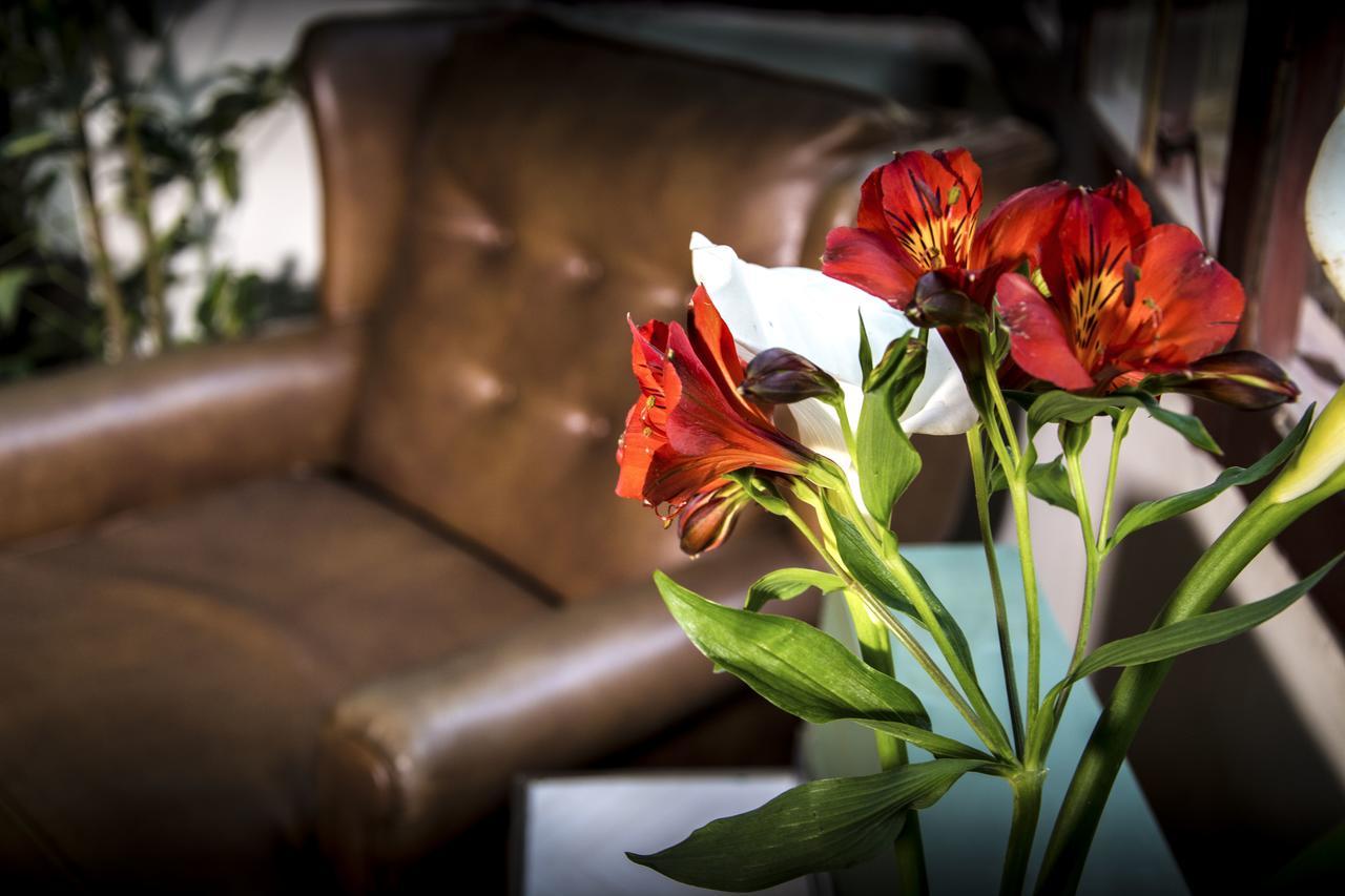 مبيت وإفطار لاباز York Vintage المظهر الخارجي الصورة